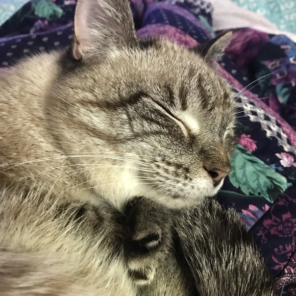 Meet your Posher, R - Picture 1 of 1